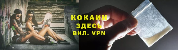 сатива Аркадак