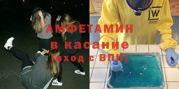 сатива Аркадак