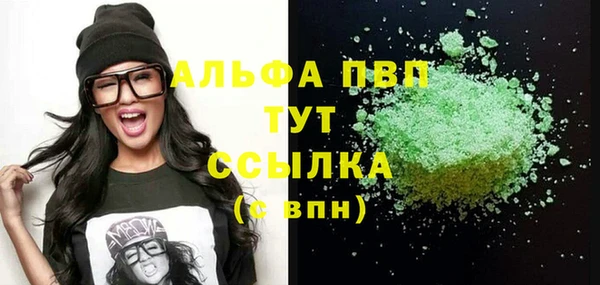 сатива Аркадак