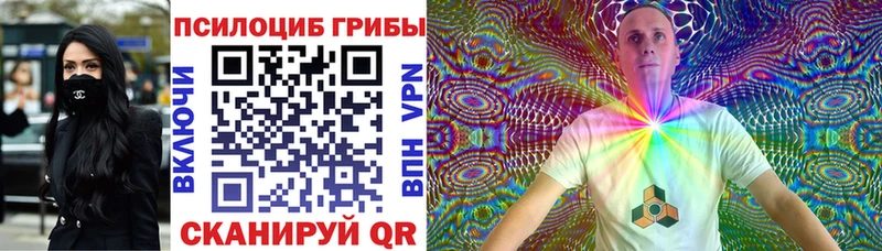 нарко площадка состав Карачаевск Псилоцибиновые грибы GOLDEN TEACHER закладки